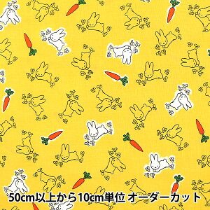 �y����5����z ���n �w�V�[�`���O �f�B�b�N�E�u���[�i �������� ���F G-2020-1A�x KOKKA �R�b�J