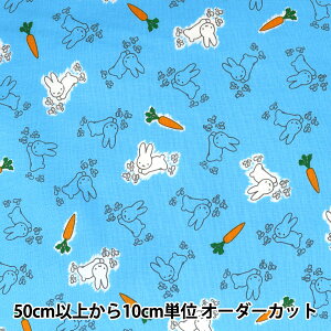 �y����5����z ���n �w�V�[�`���O �f�B�b�N�E�u���[�i �������� ���F G-2020-1A�x KOKKA �R�b�J