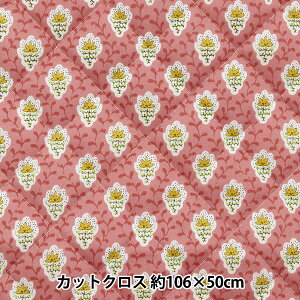 n wSOULEIADO(\CA[h) iCLg JbgNX 105cm×50cm s[` CQSLFN-518-Ex