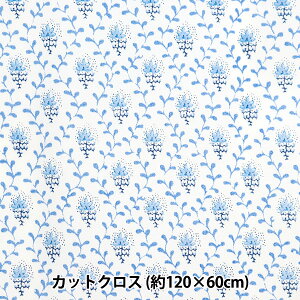 n wSOULEIADO \CA[h iCcC JbgNX veBbgEt[EfEV 120cm×60cm SLFNK-18Gx