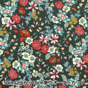 y5z n wȖV[`O ԕ uE AP31806-1Ex