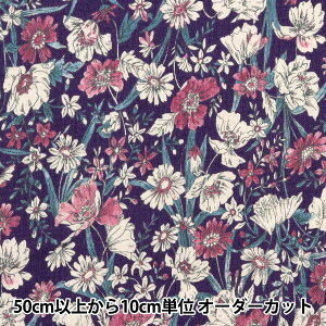 y5z n wȖV[`O ԕ TL AP31806-2Dx