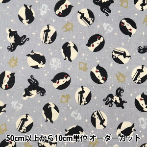 y5z n wV[`O fBYj[vZX VGbg O[ GR-8364-1Dx KOKKA RbJ