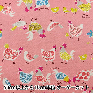 y5z n wIbNX R[Wp^[  YPA-26020-2Bx KOKKA RbJ