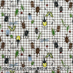 y5z n wIbNX JtLoX X̃q[[ O[ COCAN-HERO-GYx KOKKA RbJ