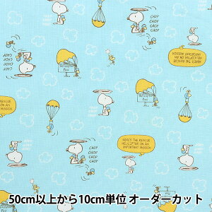 y5z n wV[`O Xk[s[ tCO TbNX G-3704-1Bx KOKKA RbJ