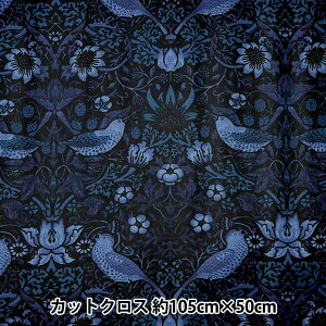 n wEBAX ~l[gJbgNX 105cm×50cm Xgx[V[t C-R8176-33x