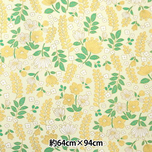 a w@BFT k60 t[K[f CG[ hokuou60x