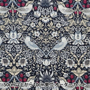 y5z n wBEST OF MORRIS V[`O Xgx[V[t × 8176-56x