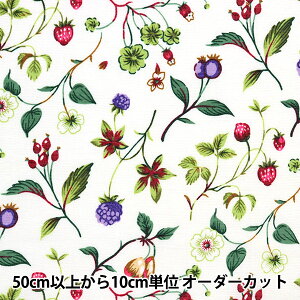 y5z n wLЃ\tgXueZ ؂̎ YUZ-863-1x mansell }ZRNV