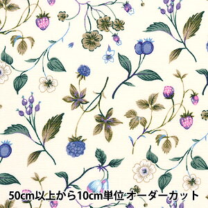 y5z n wLЃ\tgXueZ ؂̎ YUZ-863-2x mansell }ZRNV