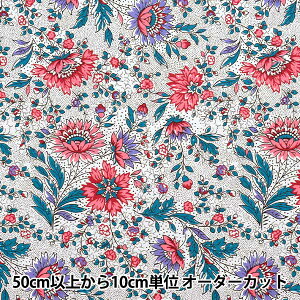 y5z n wSOULEIADO \CA[h Be[WtB[ t[E\o[W p[zCg SLFCV-112Ax