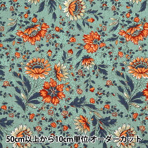 y5z n wSOULEIADO \CA[h Be[WtB[ t[E\o[W XvCO[ SLFCV-112Cx