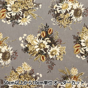 y5z n wȖV[`O ԕ CG[ NCLS-ROSU-YEx KOKKA RbJ