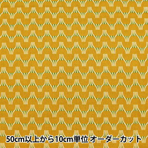 y5z n wTAYUTOU ȖV[`O FUJI }X^[h EKX-5120-1Bx KOKKA RbJ