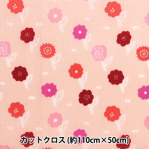 n wkippis (LbsX) [ JbgNX 108cm×50cm Ȃ x[W KPLK-07Bx