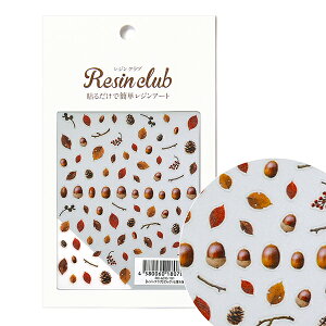 Wޗ wǂ񂮂Ɨt  RC-ACO-101x WNu