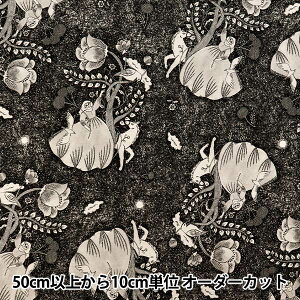 y5z n wȖV[`O Sanae Sugimoto Midnight Dream ubN EGX-9230-3Ax KOKKA RbJ