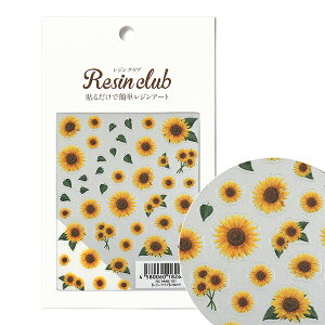 Wޗ wЂ܂  RC-HMW-101x WNu