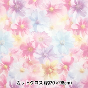 n w`[vgJbgNX RXX 70cm×98cm C-TDP6260-09x