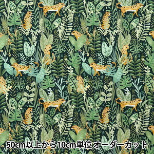 y5z n wUSARbg dearSTELLA WO DCJ2142-MULTIx