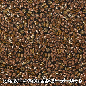 y5z n wCNWFbgvg R[q[ C7986-BROWNx USARbg