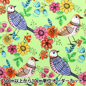 【数量5から】 生地 『USAコットン フォーク・アート・バーズ CX10020-GREEN』