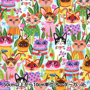 �y����5����z ���n �wUSA�R�b�g�� FUNNY FELINES �u���[ DDC10613-BLUE�x