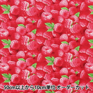 �y����5����z ���n �wUSA�R�b�g�� �x���[�E�O�b�h ���Y�x���[�� 154-RASPBERRY�x