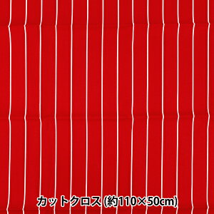 n wu[h jtH[XgCv JbgNX 110cm×50cm × C-SP5400-Cx