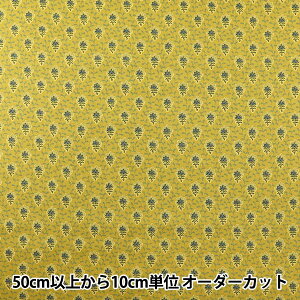 y5z n wSOULEIADO \CA[h V[`O CCG[ SLF-518Px