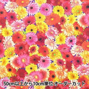 y5z n wUSARbg C}WjOY T}[(ԕ) 20916-193x