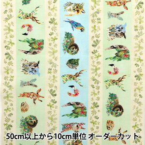 y5z n wUSARbg |[g[gXgCv DDC10488-MULT-Dx