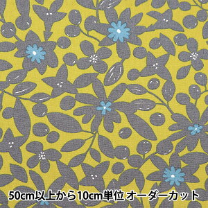 y5z n wIbNXtH[h VGbgt[ CG[O[ SOPOA-VARYO-Cx yUIWiz