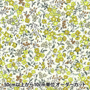 y5z n wu[h gt[K[f AeB[NCG[ SHULIFL-Ex