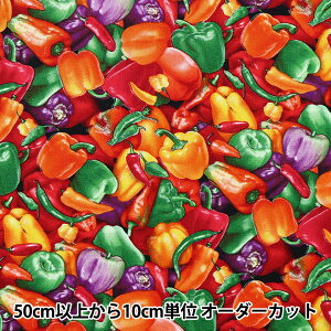 y5z n wUSARbg t[hEtFXeBo pvJ 389-MULTIx