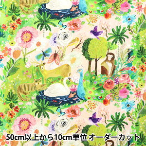 y5z n wUSARbg dearSTELLA LUSH DJL2112-MULTIx