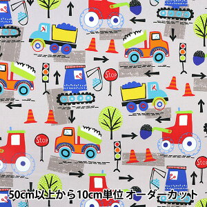 y5z n wUSARbg  O[ CX10588-GRAYx