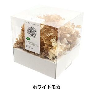 �v���U�[�u�h�t�����[ �w�\�t�g���������A�i�x���ʊy �z���C�g���J 64331�x