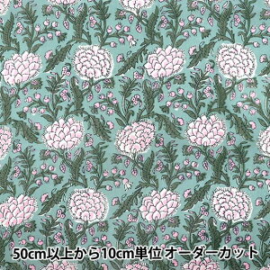 y5z n wCh{Cvg X O[×sN RAM-BOI-25Ex