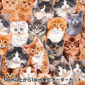 y5z n wUSARbg AhuEybc lR 3802-MULTIx