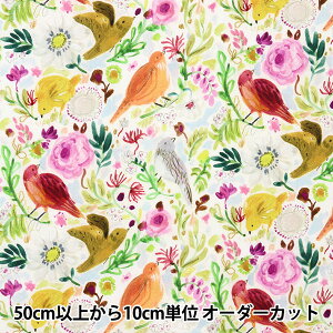 y5z n wUSARbg tCO AEFC DJL2109-MULTIx