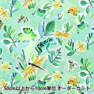 y5z n wUSARbg dearSTELLA FROGS DJL2116-MULTIx