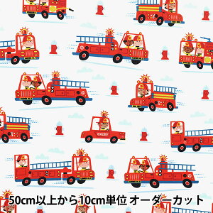 y5z n wUSARbg hc zCg DDC10582-MULTx