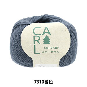 �H�~�ю� �w�X�L�[�J���� 7310�ԐF�x SKIYARN �X�L�[���[��