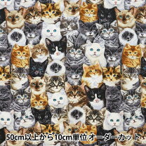 楽天市場】usaコットン 生地 猫の通販