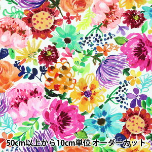 y5z n wUSARbg dearSTELLA SPRING THEORY DAW1090-MULTIx