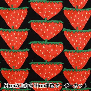 y5z n w̕z 10ԃLoX  UP5859-Cx COTTON KOBAYASHI Rbg΂₵ ё@