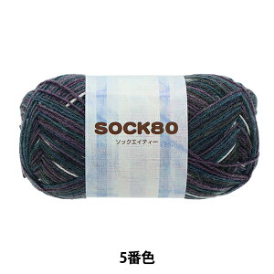 H~ю wSOCK80 (\bNGCeB[) 5ԐFx SKIYARN XL[[