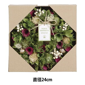���[�X �����i �w�������[�X ���a24cm �O���[���x SG Wonder zone